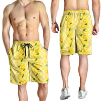 Hawaii Lemon Palaka Shorts for Men Striped Stylized