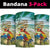 Aloha Hawaii It's 5 o'clock Somewhere Neck Gaiter - Polynesian Pride