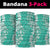 Puakenikeni and Maile Lei Neck Gaiter Sage Green Double Strand Lei - Polynesian Pride