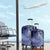 New Zealand Galaxy Fern Luggage Cover
