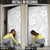 Lotu Tamaiti Samoan Polynesian Tribal Door Cover - Polynesian Pride
