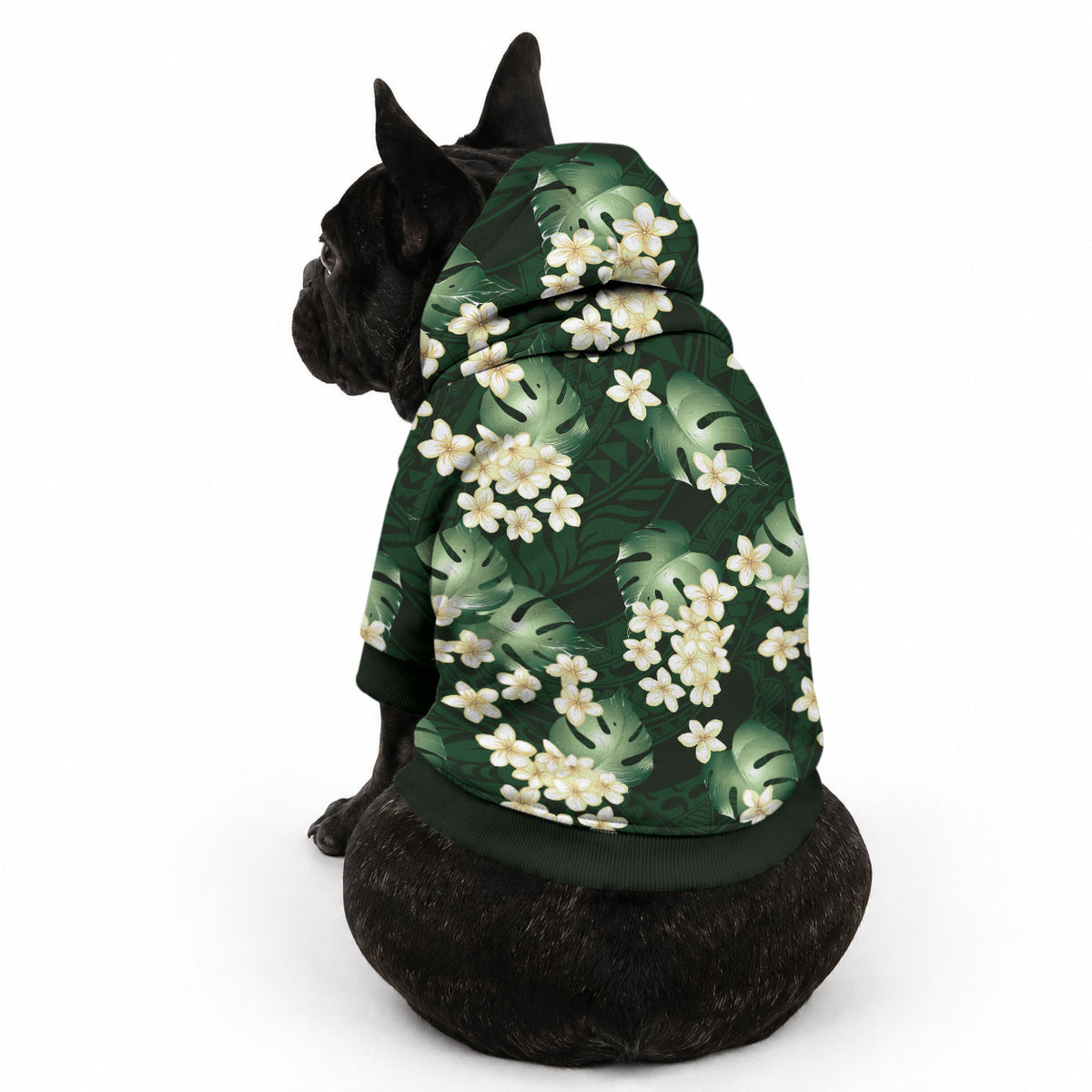 Green Tropical Hawaii Pet Hoodie Seamless Monstera Plumeria Hawaiian Pattern LT14 - Polynesian Pride