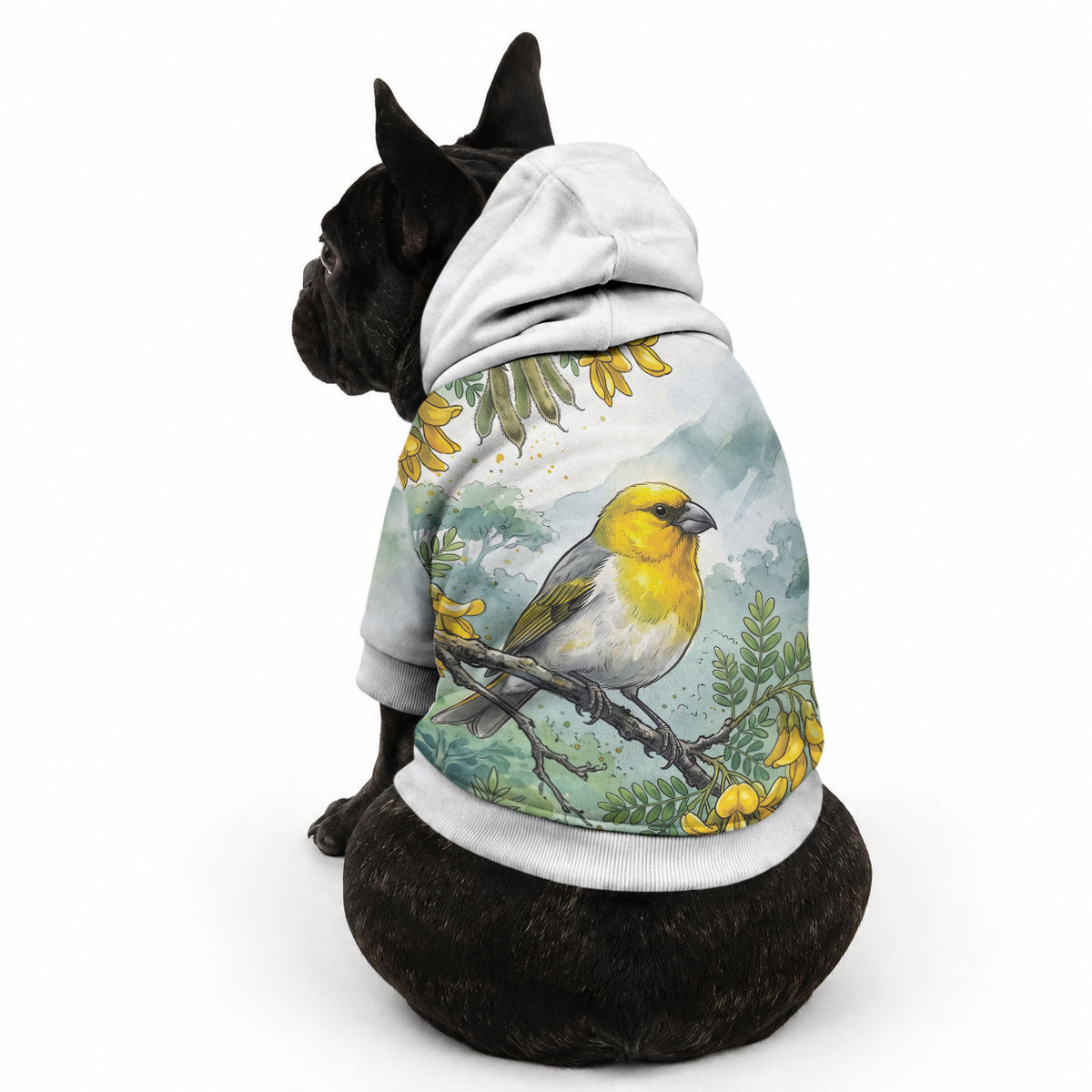 Aloha Hawaii Palila Mamane Watercolor Pet Hoodie LT14 - Polynesian Pride