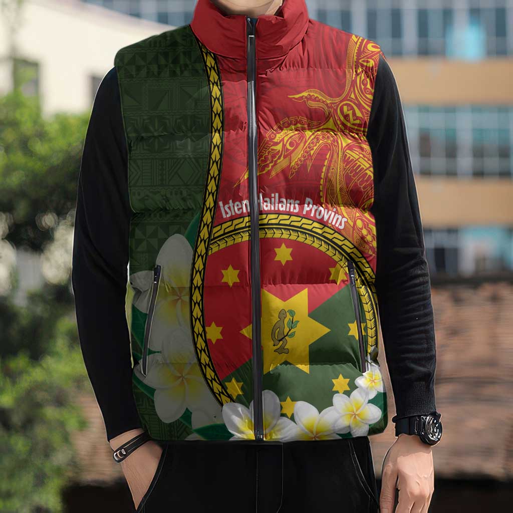 Personalised PNG Isten Hailans Provins Sleeveless Puffer Jacket Papua New Guinea Plumeria Melanesian Pattern - Polynesian Pride