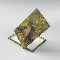 New Zealand Kaka Bird Canvas Wall Art Kowhai Flower Landscape Style