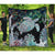 Hawaii Turtle Corals Shell Background Premium Quilt - AH Black - Polynesian Pride